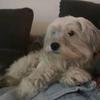 Soledad Delgado - @soledad.delgado15 - TikTok