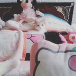 soledad pulido carreon - @carreonsoledadpulido - Instagram