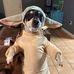 Solomon Addison - Facebook