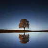Solomon Bahiru - @user4031612238842 - TikTok