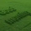 user3114784941726 - @solomonbahiru - TikTok