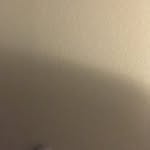 Solomon Barnett - @so1omon_2209 - Instagram