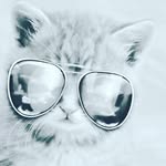 solomon dixon - @solomon.dixon - Instagram