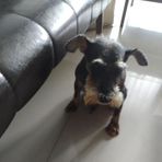Solomon Ho - Facebook