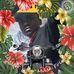 Solomon James - Facebook