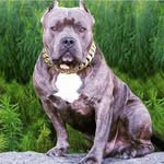 Solomon Mack - @solomon.mack.796 - Instagram