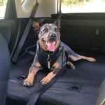Solomon Pearson - @solomonpearson543332 - Instagram