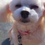 Hoon Ju - @solomonpierce522023 - Instagram