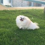 Porter Solomon - @portersolomon387 - Instagram