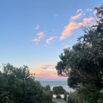 Solomon Reid - @solidman676 - Instagram
