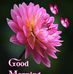 Soma Basu - Facebook