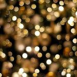 somer_king_4 - @somer_king_4 - Instagram