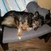 Norbert Sommerberg - Facebook