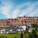 Waldhotel Sommerberg - @waldhotel_sommerberg - Instagram