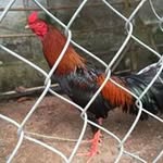 Sơn Đoàn - @doan1907 - Instagram