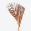 Son Doan - @cleaning3656 - TikTok