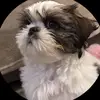 Song Doan - @song.doan01 - TikTok