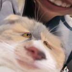Giang Thanh Sơn - @giang_thanh_son - Instagram
