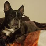 Sonja Higgins - @sonja.higgins - Instagram
