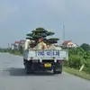 Sonkieuu - @sonkieu595 - TikTok