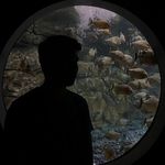 David Sonly Tambunan - @david.sonly - Instagram