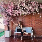 Sonly Lin - @sonlylin - Instagram
