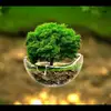 sonali bagul - @user29138412 - TikTok