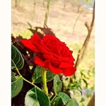 Sonali Lahange - @sonalilahange1 - Instagram