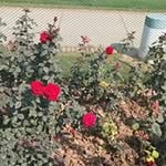 Sonali Modi - @sonali.modi.359 - Instagram