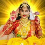 sonali pradhan - @sonalipradhan711 - Instagram