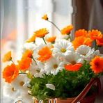 SONALI SAHA - Facebook