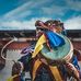 sonam dorjee - Facebook
