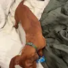 sandra Bennett - @sandra.bennett20 - TikTok
