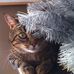 Sandra Berg - Facebook