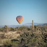 Sondra Berg - @hdgirlie2548 - Instagram