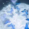 sondrakaufenberg - @user9032932118563 - TikTok