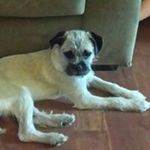 Sandra Briggs - @sandra.briggs.9 - Instagram