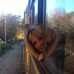 Sandra Briggs - @sandra.briggs.562 - Instagram