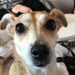 Sandra Casey - @sandra.casey.90 - Instagram