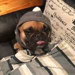 Sandra Chapman - @sandrachapman1960 - Instagram