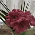 Sandra Goldstein - Facebook