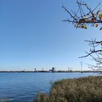 Sandra Goldstein - @sandragoldstein60 - Instagram