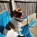 Sandra Hunt - Facebook