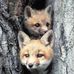 Sondra Hunt - Facebook