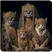 Sandra Lloyd - Facebook