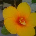 Sandra Mcdowell - @sandra.mcdowell.169 - Instagram