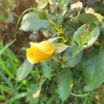 Sondra Tilley Mize - @sondramize - Instagram