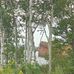 Sandra Ryan - Facebook