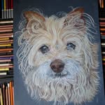 Sandra Ryan - @sandraryanartist - Instagram