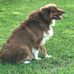Sondra Scott - Facebook